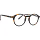 Izipizi Reading Screen #D Tortoise