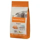 Natures Variety Hrana za pse Medium/Maxi Adult Original gain Free, Losos - 12 kg