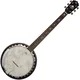 SX BJ566VS Banjo