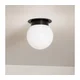 Kichler KL-ALBERS-F-G-BK-plafonsko svetlo ALBERS 1xE27/40W/230V prečnik 20,3 cm crno