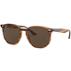 Ray-Ban RB4306 820/73 Smeđi/Smeđi