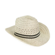 Art of Polo Ženski klobuk Tepimi rjava Universal