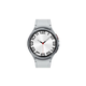 SAMSUNG pametna ura Galaxy Watch6 Classic (47mm, BT), srebrna