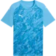 Puma Dres teamFINAL Graphic