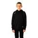 Otroški pulover Bauer Team Ultimate Hoodie Black XL