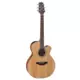 Takamine GN 20CE NS Acoustic Electric Guitar