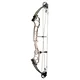 TOPOINT BRETH 36 CAM 2 SD