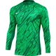 Dres z dolgimi rokavi Nike M NK DF GARDIEN V GK JSY LS