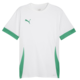 Dre Puma teamGOAL Matchday Jerey