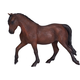 Mojo Horse Morgan rjava