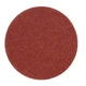 Vorel Brusilni diski 125 mm / z ježkom /, p100, komplet 5 kosov. 08560