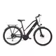 Capriolo E-BIKE ECO 700.3 LADY 28 gray-pink