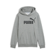 Mens Puma ESS No. 1 Logo Fleece Hoodie Youth, Gray, Size 15-16Y, Clothing