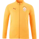 Puma Jakna Galatasaray Istanbul Training Jacket