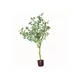 Dekordom Drvo - money tree 120cm - n60 ( 025143 )
