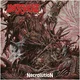 Massacre - Necrolution (Limited Edition) (Red Smoke Coloured) (LP)