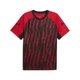 PUMA individualLIGA Graphic Football Jersey Men, Sport, Red/White/Black, XXL