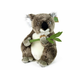 Rappa Plišasta koala 30 cm
