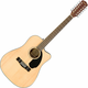 Fender CD-60SCE Dreadnought 12-string WN Natural