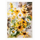 Rumena pralna preproga 140x220 cm New Carpets - Oyo home