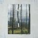S. Carey - Watercress (EP)