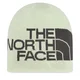 Kapa The North Face Reversible Highline Beanie NF0A7WLAWP71 Kremna