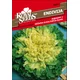 SEME ROYAL SEEDS 220 Endivija Dečja glava