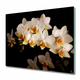 tulup.si Steklena podloga za rezanje Orhideja 2x30x52 cm