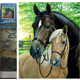 Norimpex - Puzzle Diamantna slika Kone 30x40cm - 1 - 39 kosov