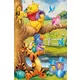 Trefl - Puzzle Winnie the Pooh II 2 - 40 - 80 kosov