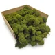 Jelenov mah - finski - očiščen - olivno - 250 g neto