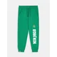 Sinsay - Pantalone Lego Ninjago - zeleno