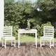 3-dijelni vrtni bistro set bijeli od masivne borovine