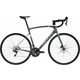 Ridley Fenix Disc Arctic Grey Metallic/White/Battleship Grey XL Cestovni bicikl