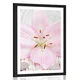 Plakat s paspartujem rožnata lilija in Zen kamni - 40x60 silver