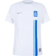 Nike Dres Dri-FIT ADV Greece Match Home 2024