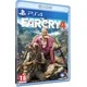 UBISOFT igra Far Cry 4 (PS4)