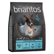 Briantos Adult Mini losos & krompir - BREZ ŽIT - 1 kg