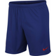 Nike Hlače obutev za trening modra 173 - 177 cm/S Atletico Madryt Homeaway 1819