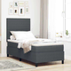 Vidaxl LED Box Spring Postelja Temno siva in bela 100 x 200 cm