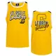 Lebron James 6 Los Angeles Lakers Crew Neck Shooter Tank dres