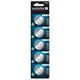 everActive Litijeve baterije CR2450, 5 kosov