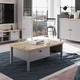 Homestyle4U Klubska mizica, 110x40,5x60 cm, siva, s prostorom za shranjevanje