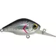 Rapture BB Crank 05 DR Silver