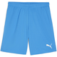 Kratke hlače Puma teamGOAL Shorts