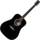 Pasadena PD-350 Black Akustična kitara (Kot novo)