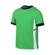 NIKE Funkcionalna majica zelena/črna/bela
