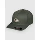 Quiksilver Mountain And Wave Cap green