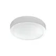 LED plafonjera 18W, promenljiva boja svetla