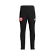 ADIDAS PERFORMANCE Športne hlače Fortuna Düsseldorf rdeča/črna/bela